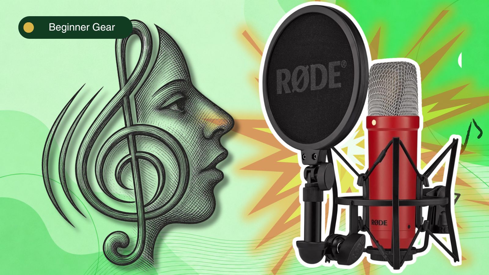The Top Entry Level Microphones To Record Music At Home